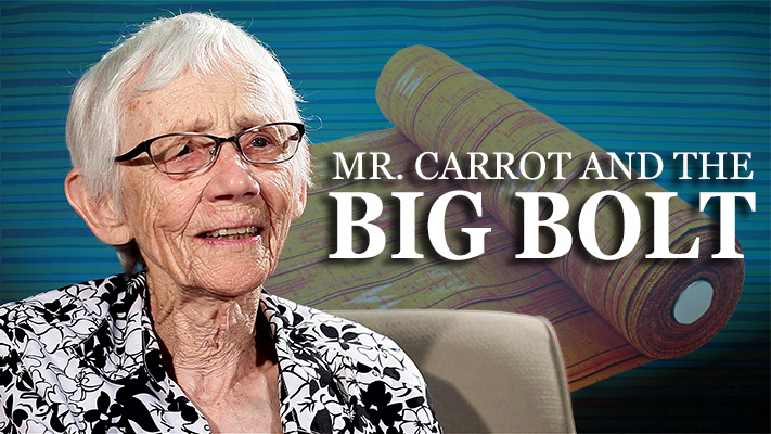 Mr. Carrot and the Big Bolt